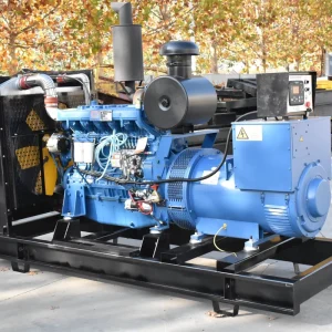 Ricardo 300kW Diesel Generator Set Open Frame 50Hz ATS Factory Direct Sale