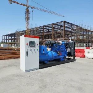 Ricardo 30kw 40kw 50kw 60kw 80kw Diesel Generator 800kva 900kva 1000kva Silent ATS Hospital Airport Railway Station Emergency