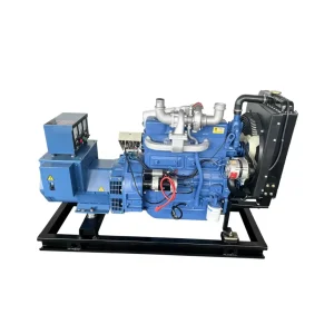Ricardo 40KW 50KVA 3 Phase 50hz Silent Diesel Generator Set Low Noise Fuel Saving Standby Power for Villa Shop Small Office