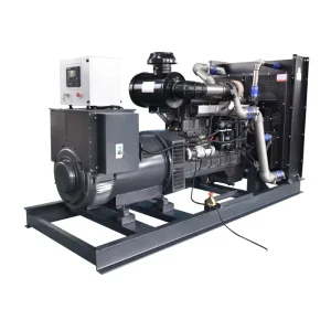 SHRAISE 10000w Diesel Generator 50 60Hz 10kva Silent Diesel Generator Single Phase Manufacture In Shanghai China