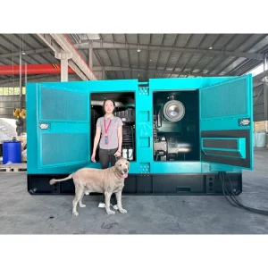 Silent 3 Phase 50 60Hz 200kW 300kva 400kva 300kW Standby Intelligent Power Generators 250kva Diesel Generator Set Manufacturing