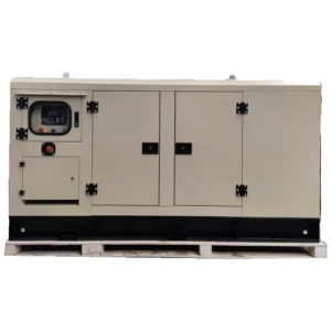 Silent 30KW Single Phase Diesel Generator 30KVA Auto Start ATS Remote Start Genset