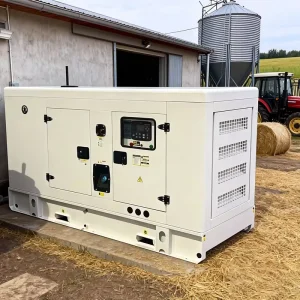 Silent 60 KW Diesel Generator 20KW 30KW 40KW 50KW 80KW 50KVA 55KVA 75KVA 100KVA Electric 100KW 3 Phase Generator