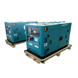 Silent Air Cooled Diesel Generator Set ATS 12V DC Electric Start 220V Home Backup Power for Single Three Phase AC 50 60Hz