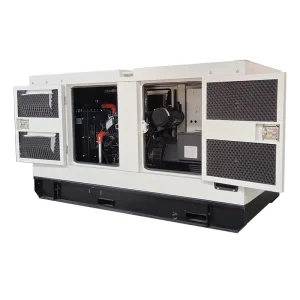 Silent Box Diesel Generator Set Low Noise 30Kw 400Kw Single Phase 200a Rated Current Alternator 110V 220V Rated ATS