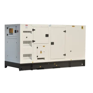 Silent Diesel Generator 125kva 100kw 100kva 80kw Auto ATS for Power Farm Use Electric Generator
