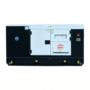 Silent Diesel Generator 15KW 18.75KVA Portable 3 Phase for Construction Site Low Fuel Consumption Waterproof Dustproof