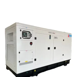 Silent Diesel Generator 200kw 250 Kva Single Phase Dynamo Generator 220v Generadores De Diesel