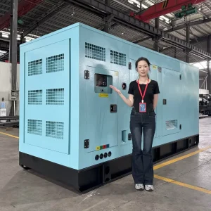Silent Diesel Generator 200kw 300kva 300kw 350kva Three Phase Dc Diesel Genset 250kw 250kva Groupe Lectrogne Silencieux