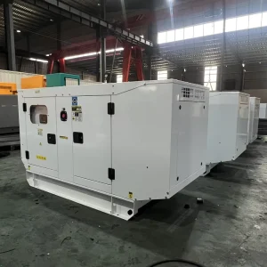 Silent Diesel Generator 20kW 50kW Water Cooled 3 Phase ATS 20kVA 50kVA Power Supply