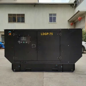 Silent Diesel Generator 50kW 75kW 100kW 125kW 3 Phase 60Hz Water Cooled ATS Auto Start Backup Power