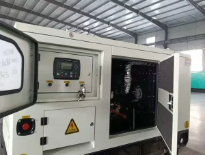 Silent Diesel Generator Set 10kW 12kVA 3 Phase Water Cooled ATS Auto Start 50 60Hz CE ISO Factory OEM Standby Power Genset