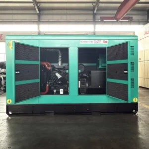 Silent Diesel Generator Set 20kW 30kW 40kW 50kW 3 Phase Water Cooled ATS 20kVA 30kVA 40kVA 50kVA Low Noise Genset