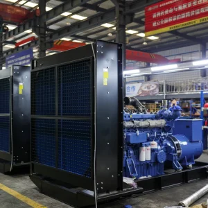 Silent Diesel Generator Set for Home Farm Use