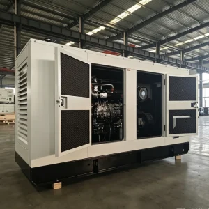 Silent Diesel Generator Set with Low Noise Output High Efficiency Durable Design Home Backup Industrial Power