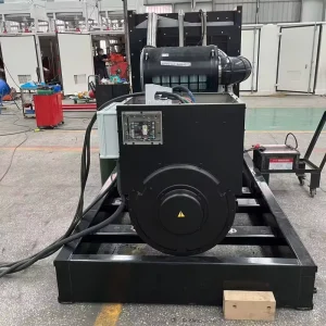Silent Diesel Generator Set with Low Noise Output High Efficiency Engine Durable Design Home Backup Industrial Power