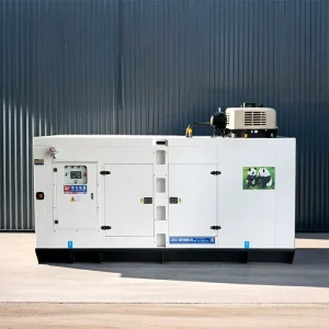 Silent Diesel Generator with Cummins Engine 30kva to 60kva Rated Power 50Hz Three Phase 400V Low Noise 50kwa