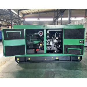 Silent Diesel Generators 20kw 30kw 40kw 50kw 50/60Hz 380V Ac Three Phase 30kva 40kva 50kva Water Cooling Silent Diesel Generator