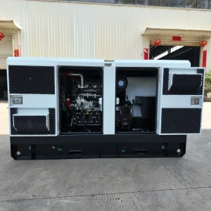 Silent Diesel Genset 48kW 60kVA 50Hz Heavy Duty Generator for Commercial Use