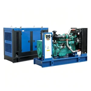 Silent Generator 20 Kva 250kw Canopy Diesel OEM Water Cooled 30kw Open Power Generation Sets by Diesel Generator Suppliers