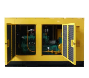 Silent LPG LNG CNG Natural Gas 3 Phase 80kw 100kVA CHP Biogas Engine Power Generator QC