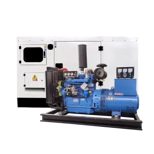 Silent Type 60kw 75kw 100kw Electric Generator 1000v Generators 3 Phase Diesel Generators