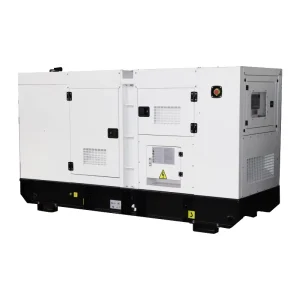 Silent Type Diesel Generator Genset 20kW-80kW Soundproof Canopy Commercial Diesel Generator for Business Backup