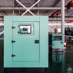 Single Cylinder Silent Diesel Generator for Home Use with Low Fuel Consumption 24V Inverter