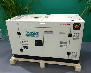 Single Double Cylinder 110 220V 50Hz 60Hz 15kW 15kVA Silent Diesel Generator with ATS and Auto Start for Home Use
