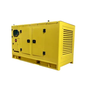 Single Phase 40kw 50 Kva Super Silent Diesel Generator with Auto Start ATS and Container Type