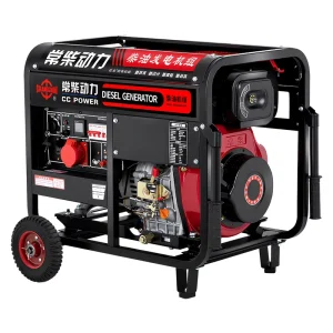 Small 3.5kw 5.5kw 6.5kw 8kw 10kw 12kw Silent Diesel Generator 220V Single Phase 380V Three Phase Home Outdoor Power Supply Use