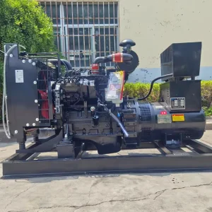 Small Power 30kVA 50/60Hz Silent Open Frame Canopy 25kW Diesel Generator Remote Start ATS for Field Command Centers/Industry