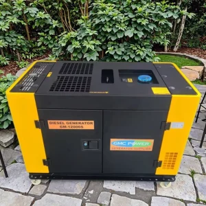 Small Silent Portable Air-cooled Diesel Generator Set ATS Electric Start 220V 50/60Hz Household/Rural/Convenience Use Backup