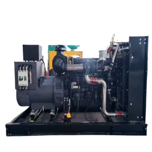 Smooth Running 12kw 50 60Hz Open Frame Diesel Generator Set for Industrial Power Equipment