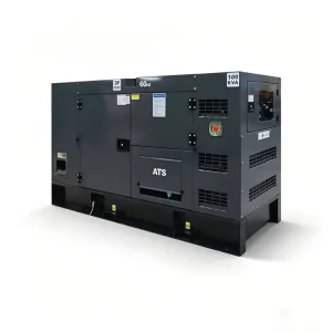 Soundproof Diesel Electric Generator 60kw 75kva 80kw 100kva Water Cooled Silent Diesel Generator for Guyana Ecuador