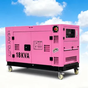 Soundproof Diesel Generators ATS Rainproof Canopy 100% Copper Alternator 50/60Hz 12kva 15kva 20kva 25kva Single Three Phase