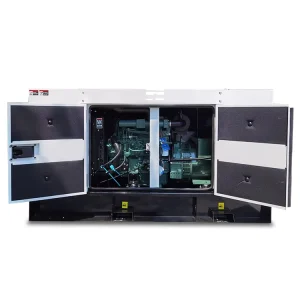 Soundproof Waterproof Type FAWDE Genset 25 Kva Diesel Generator 20 kw with Anti-condensation Heater 20 Kva Electric Genset