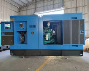 Sri Lanka 50KVA 75kva 100kva 125kva 200kva diesel Silent Generator Powered Standby Power Main Power for Hotel or Hospital