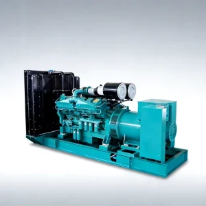 Stable Running Economical Diesel Generator With Automatic Transfer Switch Heavy Duty Diesel Generator