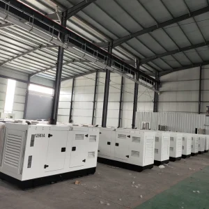 Stable Voltage Supply 250 Kva 300kva 350kva Brushless Silent Single Phase Electric Diesel Generator