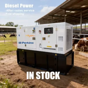 Suitable for Continuous Power Supply in Breeding/Farming/Mine/Construction Sites. Large-Capacity Fuel Tank for Diesel Generator