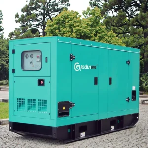 Super Silent 50KVA Diesel Generator Single Machine Alternator 60Hz Frequency Portable