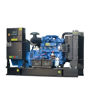Super Silent 50kW Diesel Generator Set 62.5kVA DG Set Yuchai YC4D90Z D25 Engine for Retail Store Backup Power
