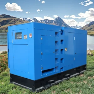 Super Silent Containerized Diesel Generator 300KW 500KW 1000KW Water Cooled 24V DC Start Fuel Tank 220V 380V 50Hz 1500rpm ATS