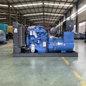 Super Silent Diesel Generator 20kw 25kw Power Portable Generator 20kva 25kva Generators Set Genset Generador