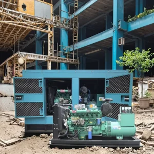 Super Silent Generator Ricardo Engine 50Hz/60Hz 30kW 40kW 50kW Diesel Generator Set