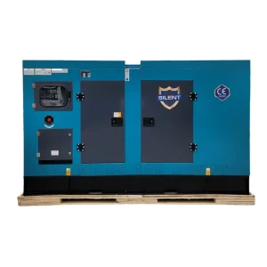 Supply Soundproof Silent 3 Phase Genset Group Electrogene Diesel Generator Gensyn Top Power CTP Model 20KW 25kva Single Cylinder