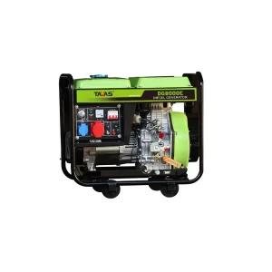 TAVAS Silent Diesel Generator DG6000E 5kVA 110V 220V 380V 400V Auto Start 5.5kW Portable 186F Engine 50 60Hz Air Cooled Brush