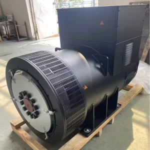 TFW2-315-4 Synchronous Brushless Alternator Copper Made Diesel Generator Set Three-phase Brushless Excitation Synchronous A.C