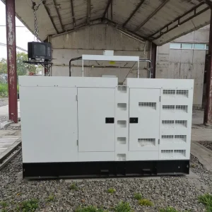 The factory directly supplies heat with silent 60kva generator set 50kw low-noise diesel generator with 70kva and 600V